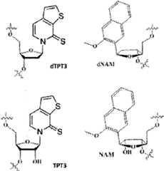 Figure imgf000019_0002