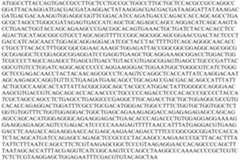 Figure PCTCN2022073808-appb-000121