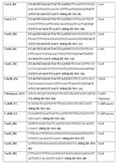 Figure imgf000023_0001