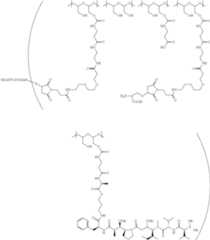 Figure US09808528-20171107-C00207