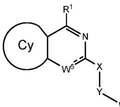 Figure imgf000003_0001
