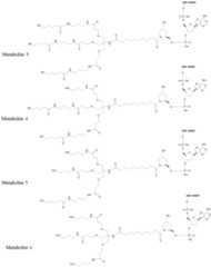 Figure imgf000202_0001