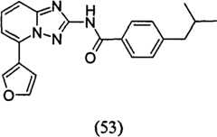 Figure GPA00001035513100872