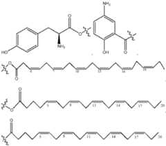 Figure imgf000047_0001