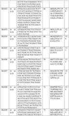 Figure BDA0002572923940000861