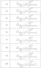 Figure A2006800095860011C1