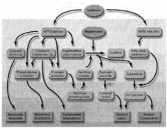 Figure imgf000013_0001