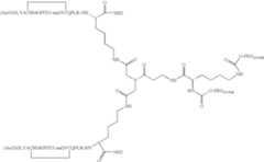 Figure US07906485-20110315-C00028