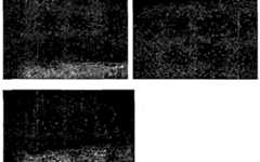 Figure imgf000076_0002