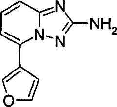 Figure GPA00001035513100502