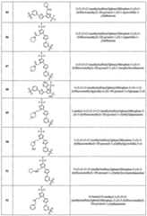 Figure imgf000306_0001