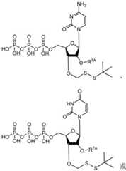 Figure BDA0003670511740002011