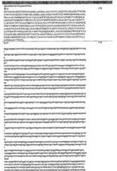 Figure GPA00001077157301171