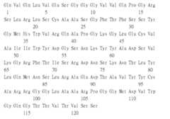 Figure 109115264-A0305-02-0296-329