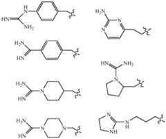 Figure imgf000019_0001
