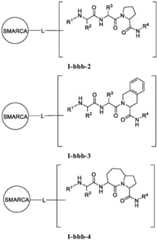 Figure FDA0003783300820000411