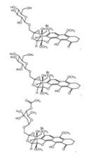 Figure imgf000137_0001