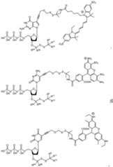 Figure BDA0003670511740002991