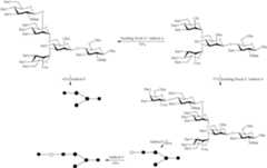 Figure US10005847-20180626-C00029