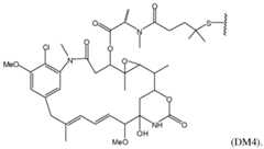 Figure imgf000081_0001