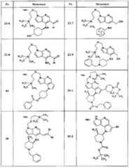 Figure BPA00001446920500951