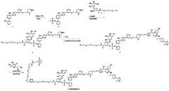 Figure BDA0004113777320001851