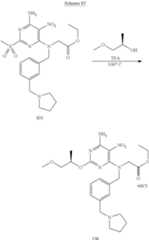 Figure US08367670-20130205-C00248