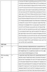 Figure imgf000048_0001