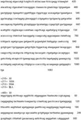 Figure IDA0002935257620000471