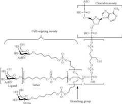 Figure US10683499-20200616-C00007