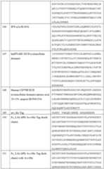 Figure imgf000176_0001