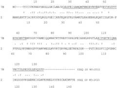 Figure BDA0004113341620000631