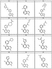 Figure imgf000035_0001