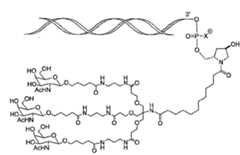 Figure 107123784-A0305-02-0232-3