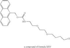 Figure US07425436-20080916-C00018