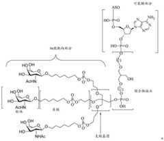 Figure BDA0003357312860004842