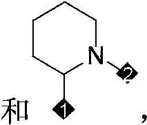 Figure PCTCN2022073822-appb-000105