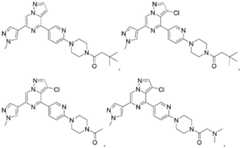 Figure FDA0003426162430000032