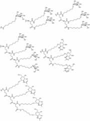 Figure JPOXMLDOC01-appb-C000029