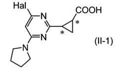 Figure JPOXMLDOC01-appb-C000018