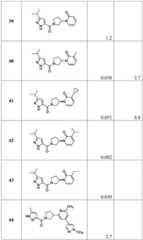 Figure BDA0001316473010001711