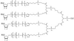 Figure imgf000094_0001