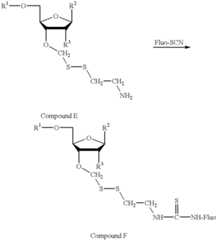 Figure US06309836-20011030-C00011