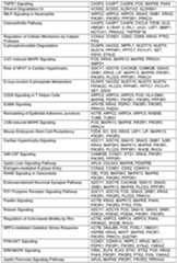 Figure imgf000116_0001