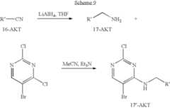 Figure US07504410-20090317-C00162