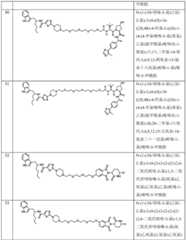 Figure BDA0003027048450003691