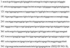 Figure BDA0002465283840000502