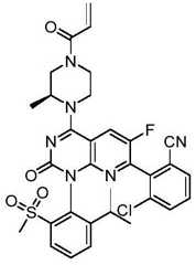 Figure BDA0002861043520001072