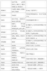 Figure BDA0001878096640000731