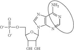 Figure US08680069-20140325-C00091